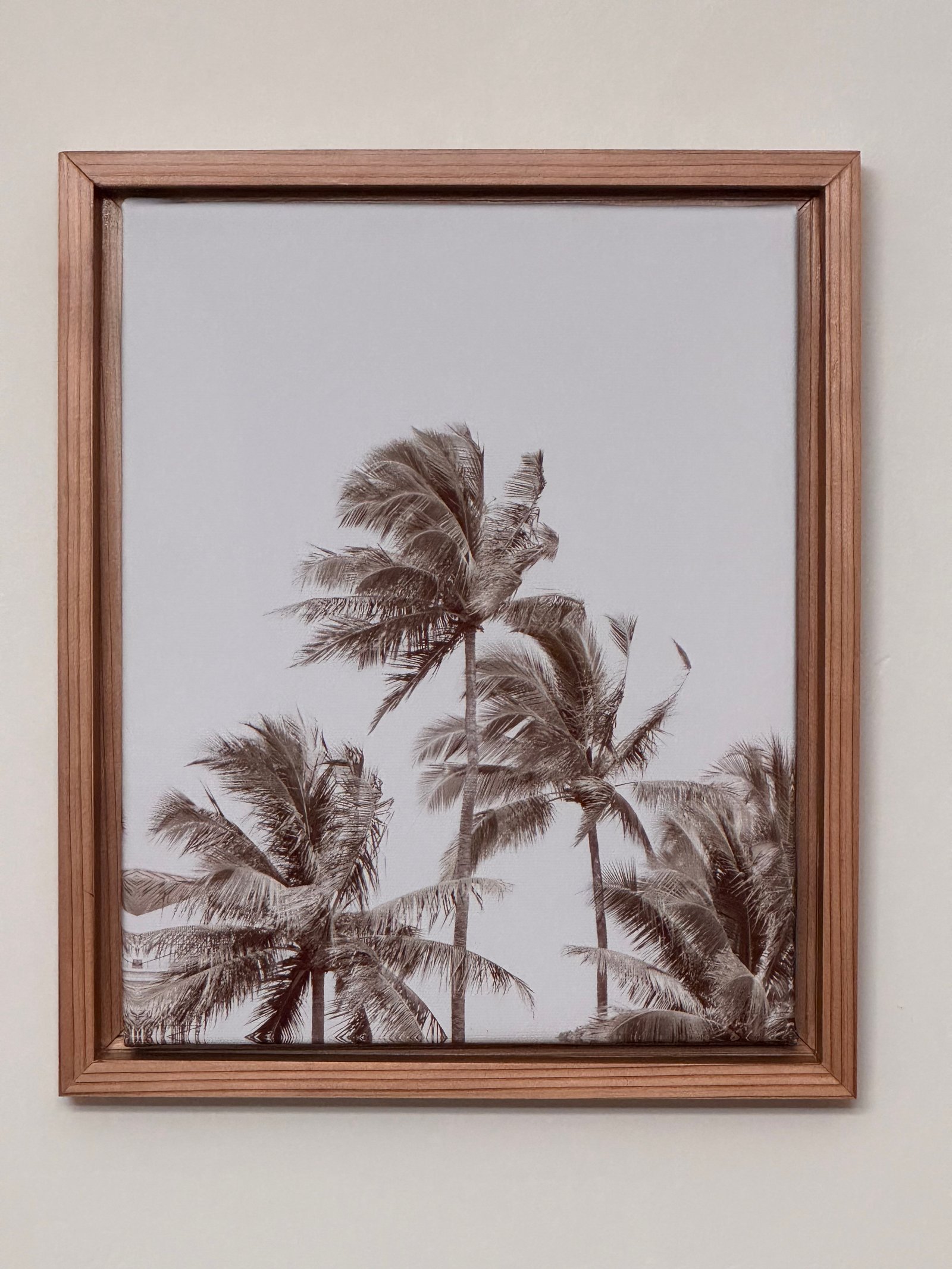 Photo/art paper frame — cedar finish with palm print